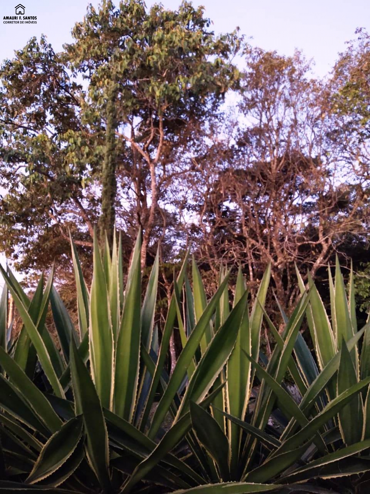 Chácara em , São Roque - Foto 13
